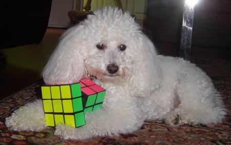 Winston solves Rubic's Cube