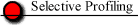 Selective Profiling