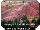 John Day Fossil Beds